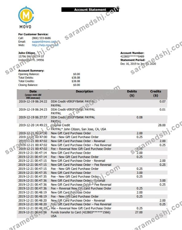 USA MOVO bank statement